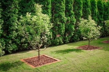 blog image The Role of Trees in Boosting Property Value & Curb Appeal