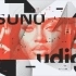 Suno vs Udio vs Soundraw: Best AI Music Generator for Viral Tracks in 2026 related image
